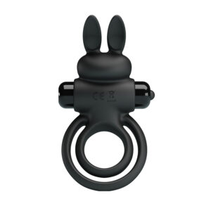 Rabbit Vibrating Cock Ring with Bullet Vibrator